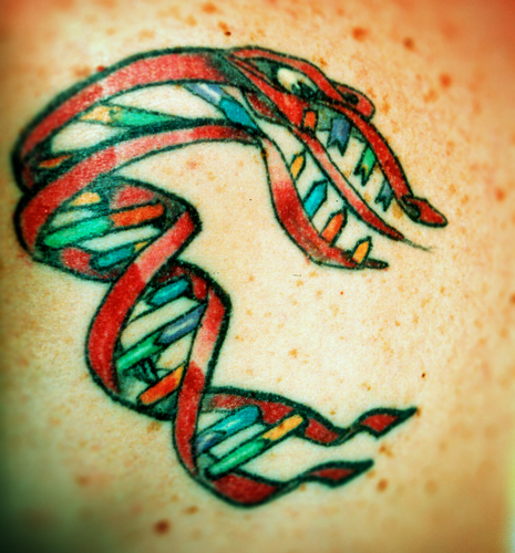 Genetics Mouse by Mike Shultz @ Ink Therapy Plainfield, IN : r/tattoos